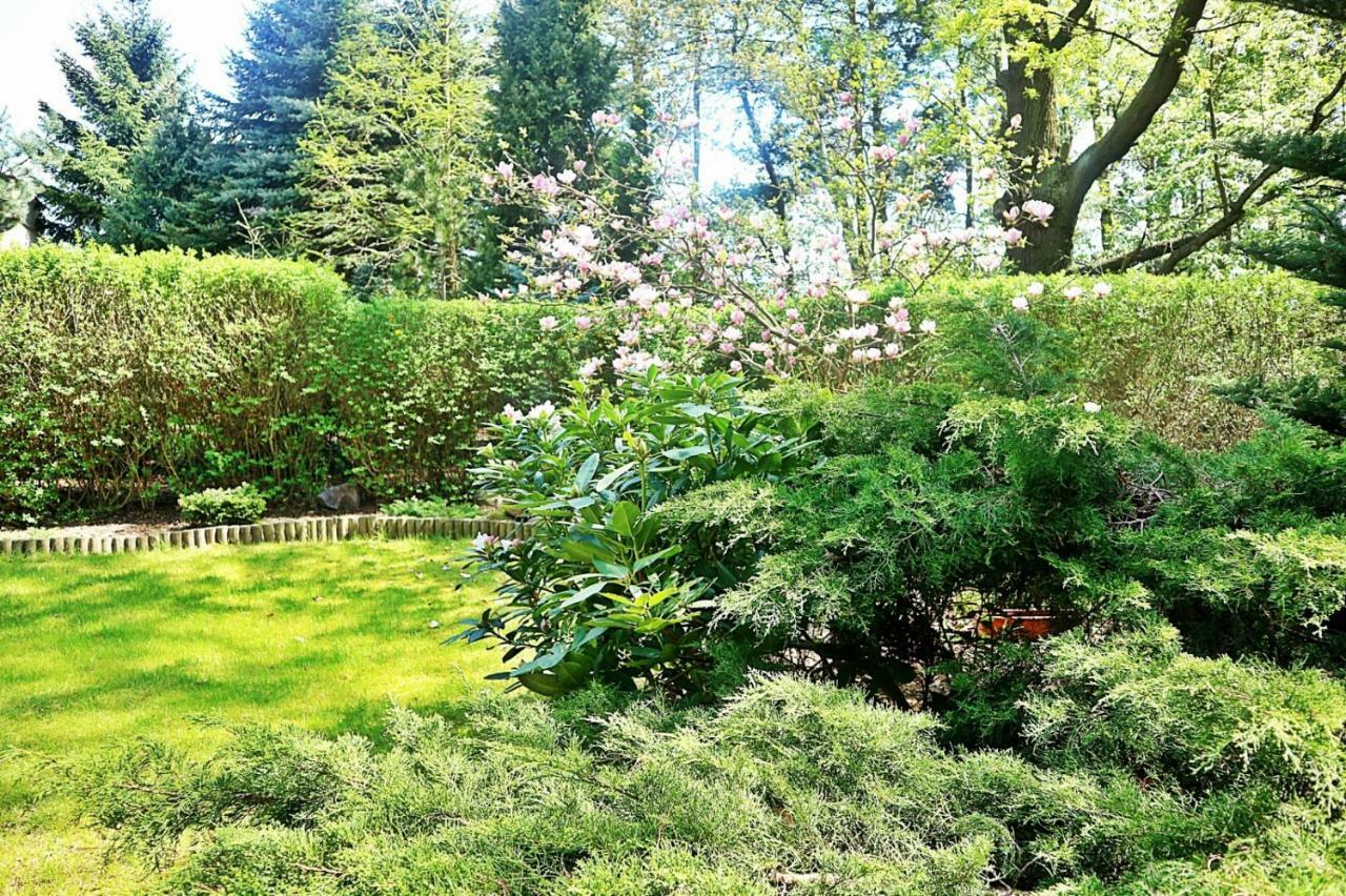 Zielone Pokoje Grünberg Exterior foto